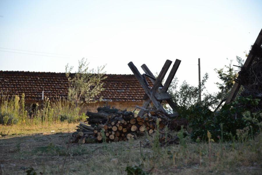 Perugia Farmhouse 빌라 외부 사진